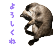 852169609
