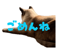 852169610