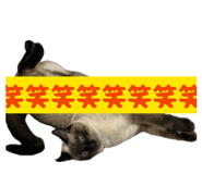 852169612