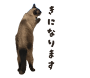852169613
