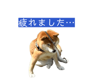 852170884