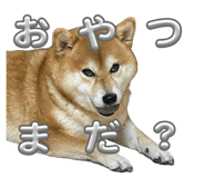 852170885