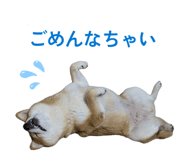 852170889