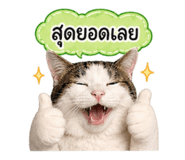 852180595