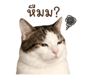 852180612