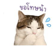 852180615