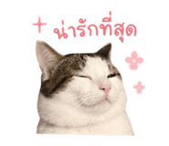 852180616