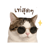 852180621