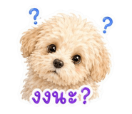 852181070