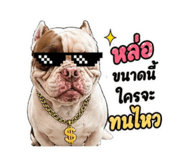 852187300