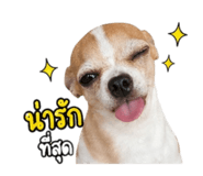 852187307
