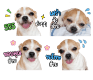 852187327