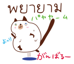 8521893