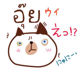 8521900