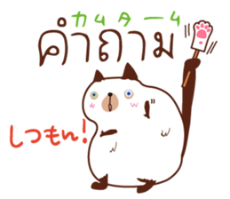 8521904
