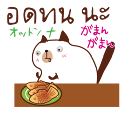 8521918