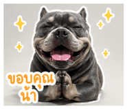 852193324