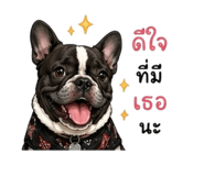 852195251