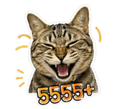 852196796