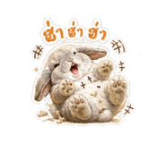 852203762