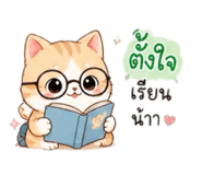 852204666