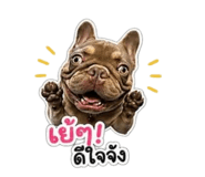 852204762