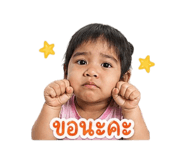 852205320