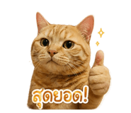 852205493