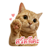 852205502