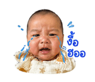 852205533