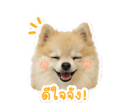 852206746