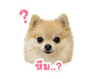 852206747