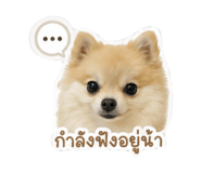 852206749