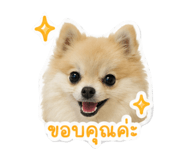 852206750