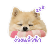852206752
