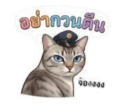 852207935