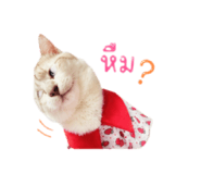 852208156