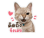 852208178