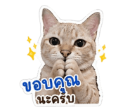 852208179