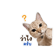 852208180