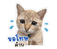 852208183