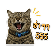 852208958