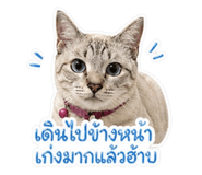 852211015
