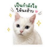 852211287