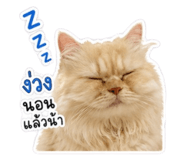 852211293