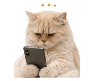 852211299