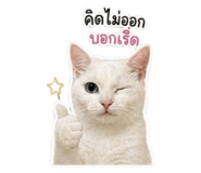 852211316