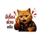 852211514