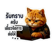 852211520