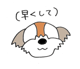 8522119